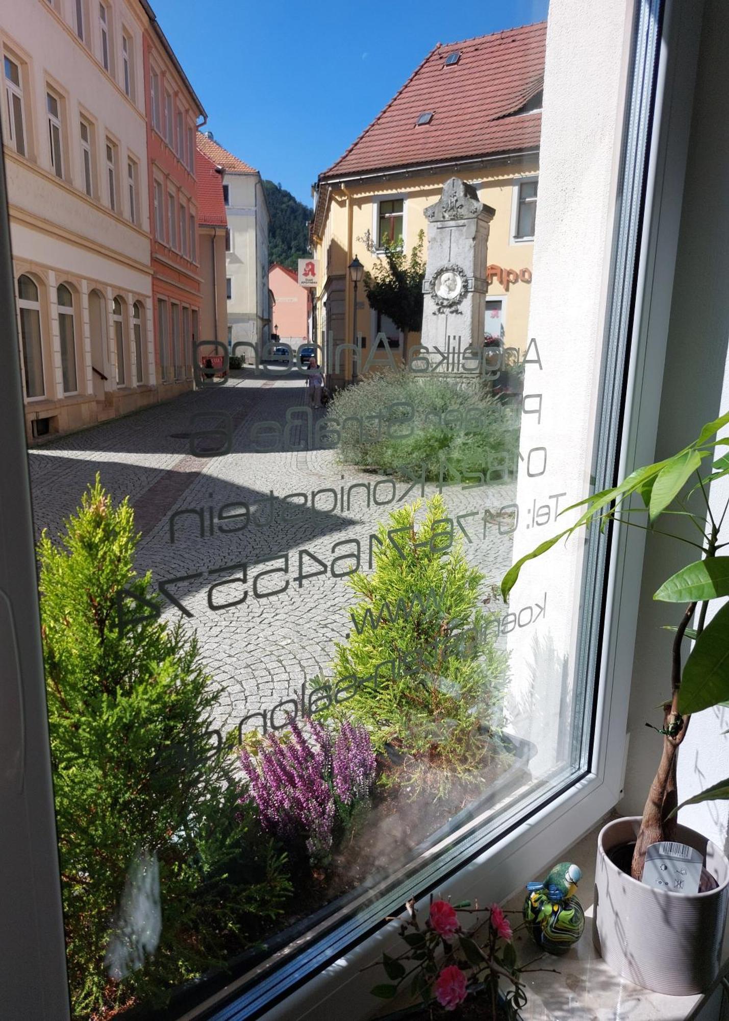 Luxurioese Ferienwohnungen Königstein Exterior foto